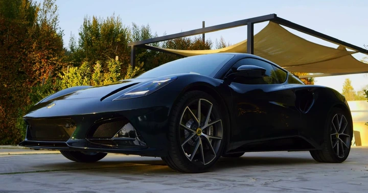 2023 Lotus flower Emira in Verdant Green outdoors still