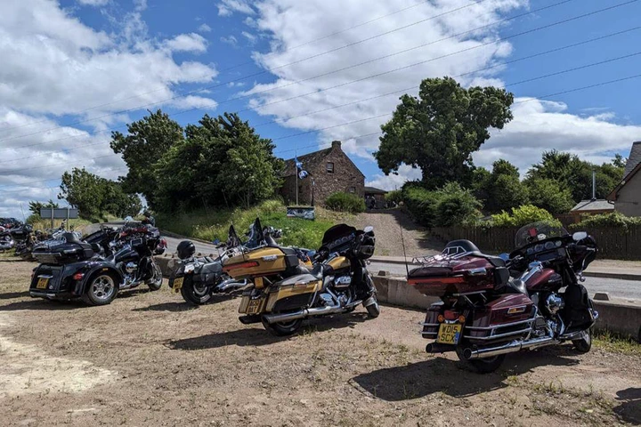 A group of Harley-Davidson cruisers lined up side by side.