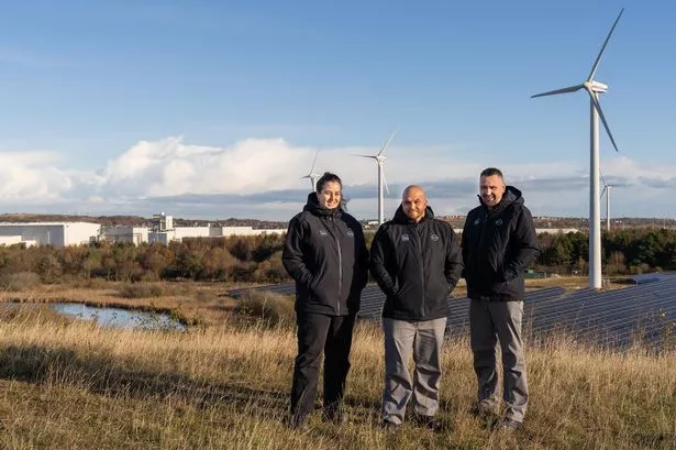 Nissan hails biodiversity plan as Sunderland factory site attracts badgers, newts and birds of prey