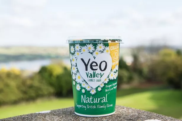 Yeo Valley snaps up gourmet yoghurt maker The Collective