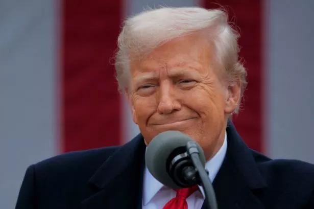 Comment: Government's actions are a useful first step but needs to do more